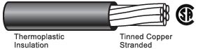 CSA_TEWthermo(1).jpg