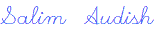 Audish signature